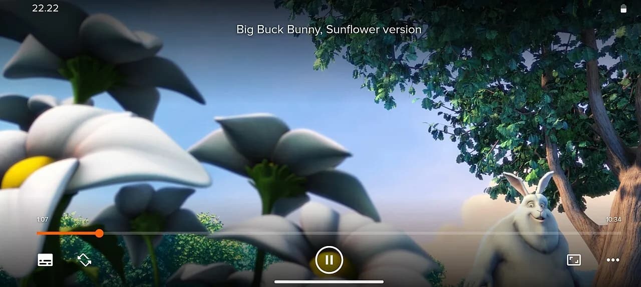 VLC media player interface