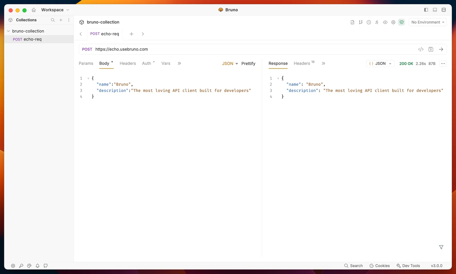 Bruno sending a POST request and showing the JSON response