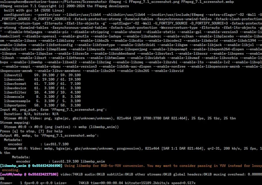 FFmpeg interface