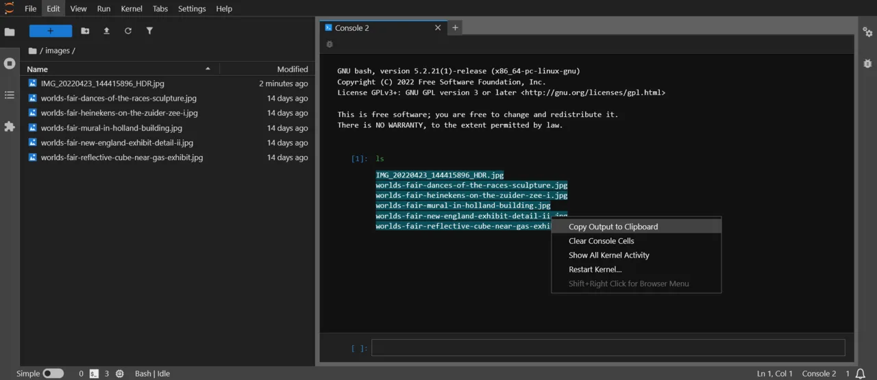 JupyterLab interface