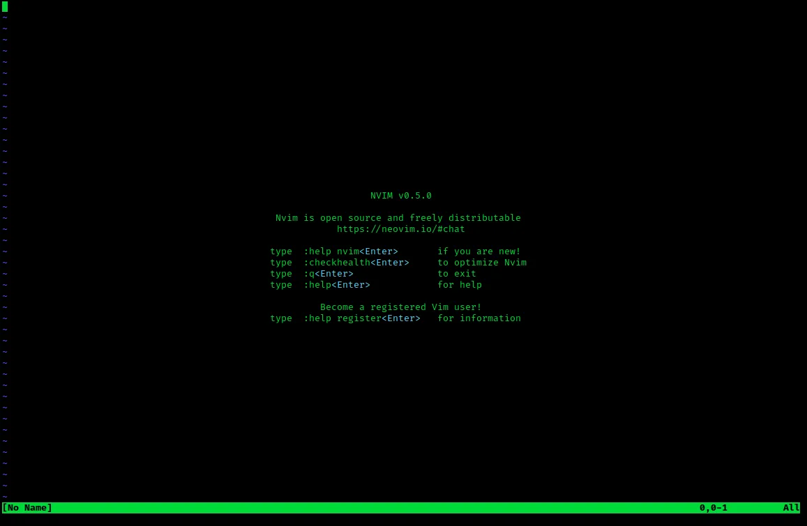 Neovim interface